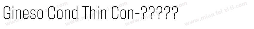 Gineso Cond Thin Con字体转换